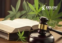 Divieto sulla Cannabis Light in Italia: Nuove Regole e Implicazioni