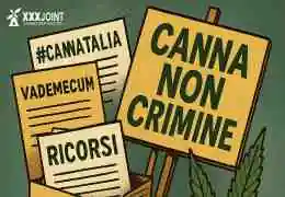 Ultime 2 Settimane di Proteste e Ricorsi sulla Cannabis Light in Italia