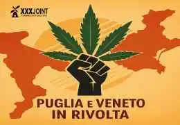 Puglia e Veneto in rivolta contro l’articolo 18 del DL “Sicurezza canapa”