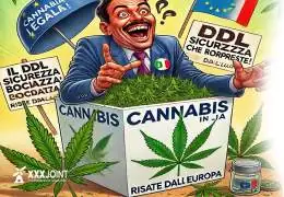 Cannabis Legale in Italia: DDL Sicurezza Bocciato e Rimandato! Risate dall'Europa