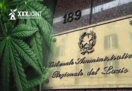 Cannabis Legale: Nuovo blocco del TAR al DDL Sicurezza