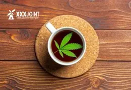Tè alla Cannabis o Marijuana scopri come prepararlo al meglio