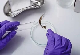 Test del Capello: Come funziona il test antidroga capello?