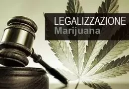 Legalizzazione Cannabis Italia