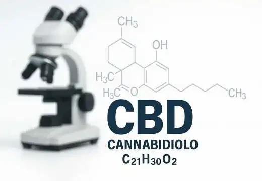 Cos’è il CBD? Guida completa a benefici, effetti e dosaggi