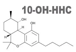 10-OH-HHC: L'alternativa al THC ed HHC che stavi cercando