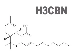 H3CBN: il nuovo cannabinoide simile al THC