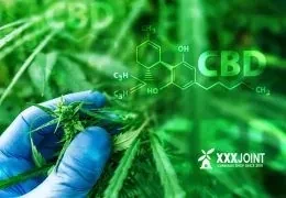CBD: Il TAR del Lazio Sospende Nuovamente il DM Salute