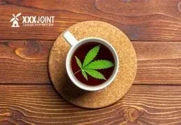 Tè alla Cannabis o Marijuana scopri come prepararlo al meglio