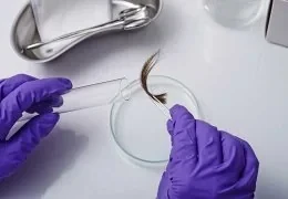 Test del Capello: Come funziona il test antidroga capello?