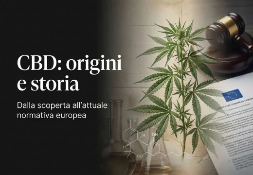 CBD: da dove viene, come si usa e cosa prevede oggi la normativa