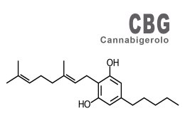CBG (Cannabigerolo): Una Dettagliata Esplorazione del "Cannabinoide Madre"