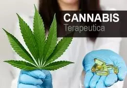 Cannabis Terapeutica o medica Italia