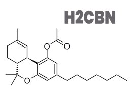 H2CBN: La Nuova Rivoluzione nel Settore della Cannabis