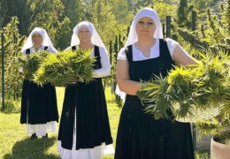 Sisters of Valley California: Le Suore della Valle California che coltivano Marijuana