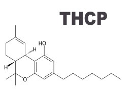 THCP: La Scoperta Rivoluzionaria nei Cannabinoidi