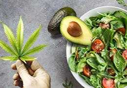 Ricetta: Insalata di Avocado e Cannabis