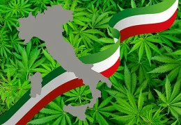 Guida alle Leggi sulla Cannabis in Italia: Dalla Legge 242/2016 all'Ultimo Decreto su HHC