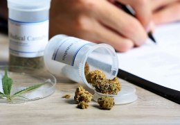 Come accedere alla Cannabis Terapeutica in Italia