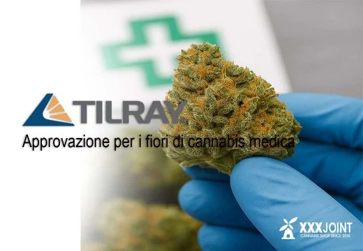 Tilray ottiene approvazione del Ministero della Salute per i fiori di cannabis medica in Italia (2025) Tilray ottiene approvazione del Ministero della Salute per i fiori di cannabis medica in Italia (2025)
