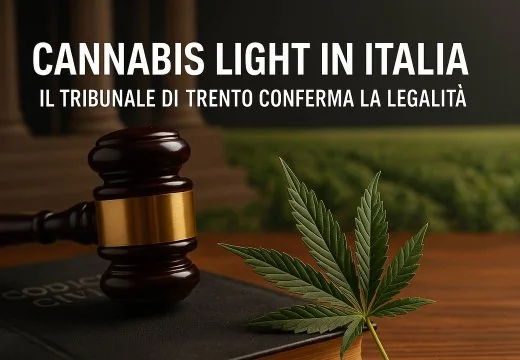 Cannabis light in Italia: il Tribunale di Trento stabilisce che è legale se priva di efficacia drogante