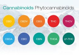 Fitocannabinoidi della Cannabis: Proprietà, Applicazioni Terapeutiche e benefici