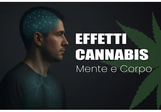 Effetti cannabis e marijuana su corpo e mente: guida completa 2025 Effetti cannabis e marijuana su corpo e mente: guida completa 2025