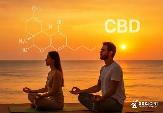 CBD e meditazione: guida completa per armonizzare mente e corpo CBD e meditazione: guida completa per armonizzare mente e corpo