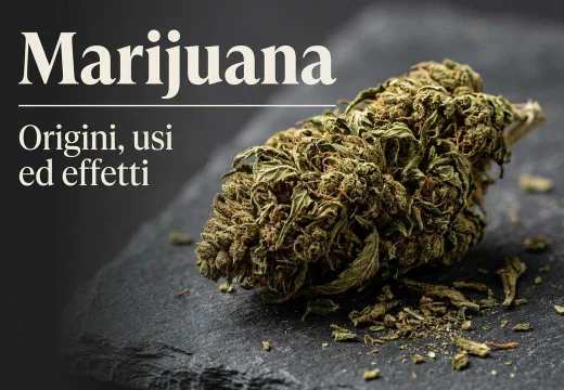 Conoscere la marijuana: origini, caratteristiche, usi ed effetti
