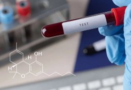 Test antidroga Sangue: Tutto ciò che Devi Sapere sul test thc e cannabis