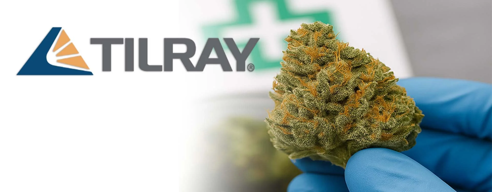 Tilray ottiene approvazione del Ministero della Salute per i fiori di cannabis medica in Italia (2025)